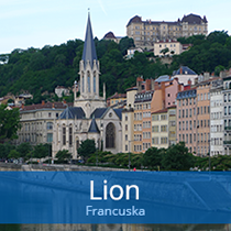 Montenegro Airlines - Lion