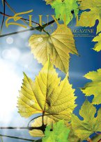 Montenegro Airlines - Luxury Inflight magazin 6